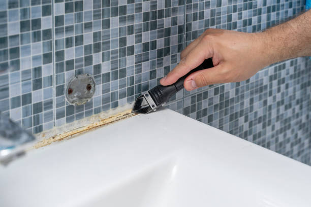 Best Mold Remediation  in Scottsdale, AZ