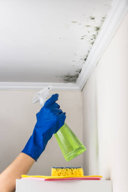 Best Emergency Mold Removal  in Scottsdale, AZ
